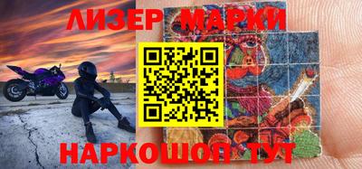 стаф Можга