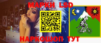 стаф Можга