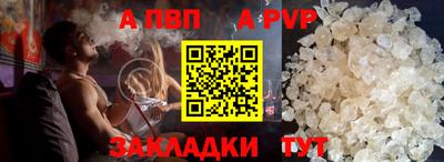 стаф Можга