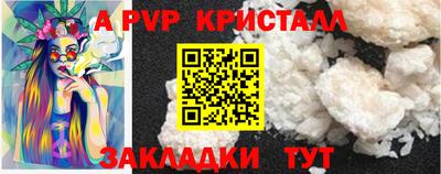 стаф Можга