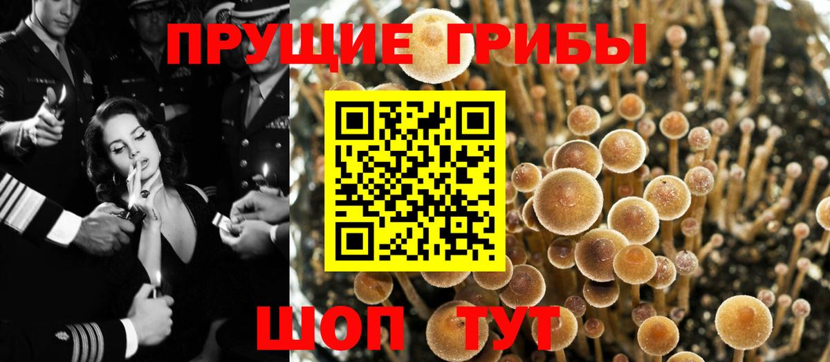 Псилоцибиновые грибы GOLDEN TEACHER Верхний Уфалей