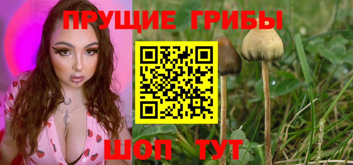 Верхний Уфалей  Псилоцибиновые грибы GOLDEN TEACHER  Вход с VPN 